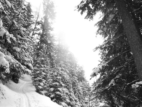 Photo by Rob Hamilton-Smith